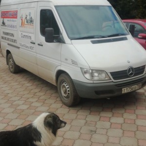 Грузоперевозки