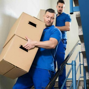 Грузоперевозки. Грузчики