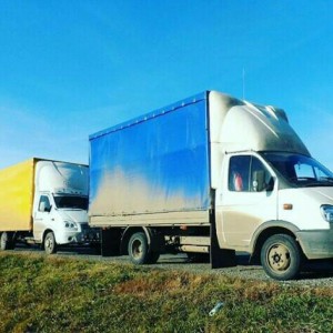 Грузоперевозки