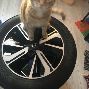 Окажу услугу