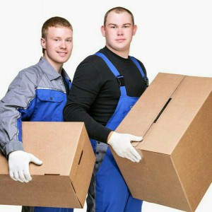 Грузоперевозки переезды уборка террит не дорого!!!