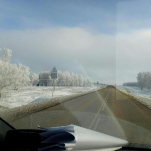 Перевозки