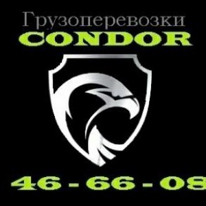 Вывоз мусора, Все виды переездов, Доставка. condor
