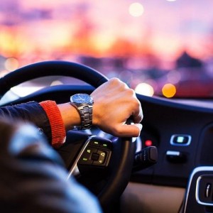 Перевозчик, водитель, курьер