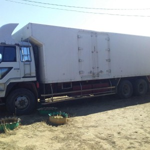 Грузоперевозки