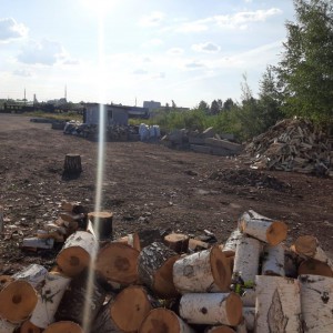 Дрова колотые и неколотые