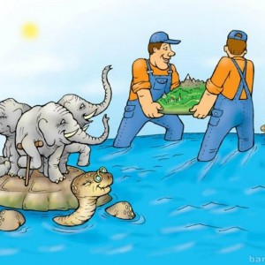 Грузоперевозки, грузчики