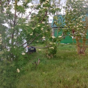 Перевезти вещи Новосибирск - Усть - кокса