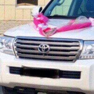 Вывоз мусора. Грузоперевозки