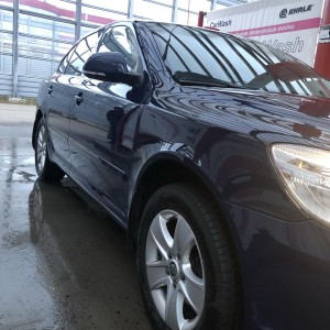 Трезвый водитель