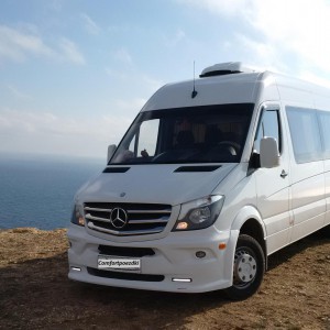 Пассажирские и грузоперевозки