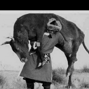 Грузчики и грузовички, перевозки