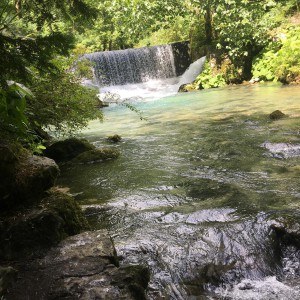 Отдых в Абхазии. Грузоперевозки