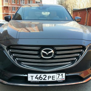 Поездки в Москву, Пассажирские перевозки, Трансфер