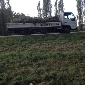 Грузоперевозки 7 метров 3 тонны