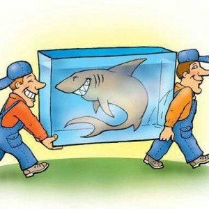 Грузчики, Разнорабочие