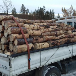 Дрова сухие, столбы