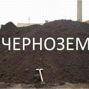 Торф Земля Песок Щебень Пгс