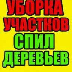 Очищаем помещения, участки от хлама. Перевозки