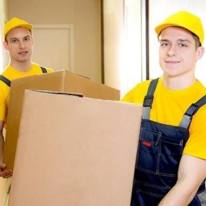 Переезды. Грузчики. Транспорт. Пианино. Мусор