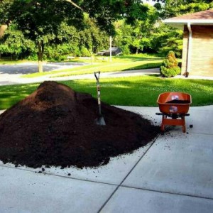 Черназем, земля