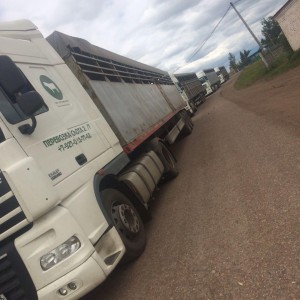 Услуги Скотовоза