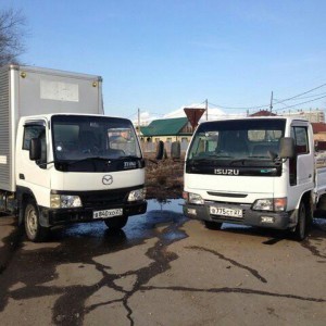 Будки и Бортовые, Грузчики с опытом Грузоперевозки