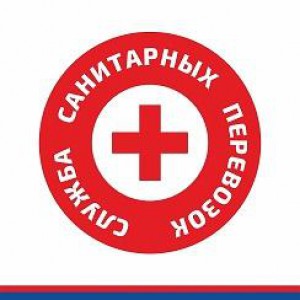 Транспортировка пациентов от 600р