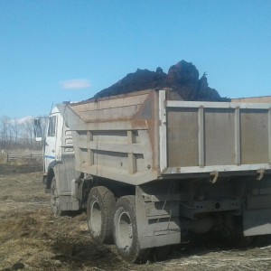 Пгс земля перегной песок щебень до 11 тонн