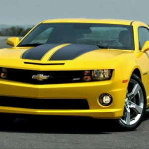 Трезвый водитель