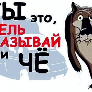 Перевозка, доставка