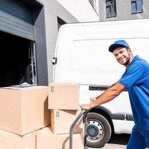 Грузоперевозки