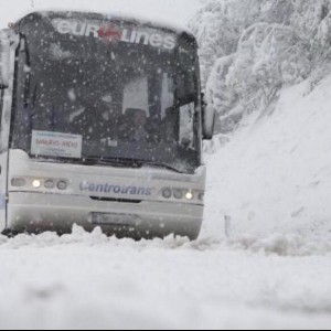 Автобусные перевозки СПб и пригороды