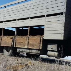Услуги скотовозов одноярусные и двух ярусные
