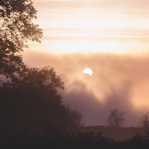 Грузоперевозки. Грузчик без вредных привычек