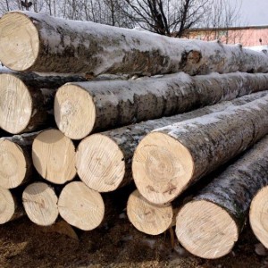 Ищу поставщика круглика. Грузоперевозки