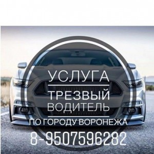 Трезвый водитель