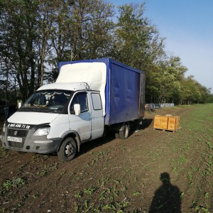 Грузоперевозки / Переезды / Доставка/Газель