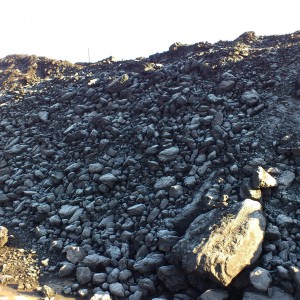 Уголь отборный мешками и тонажом