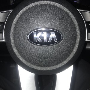 Персональный водитель