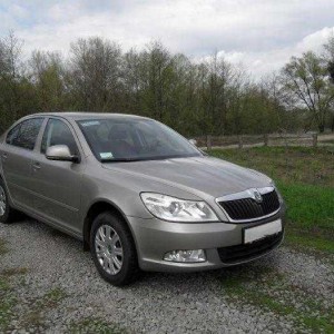 Авто с водителем