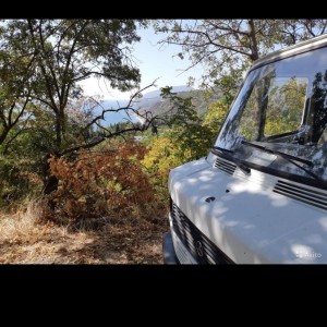 Грузоперевозки грузчики 24/7