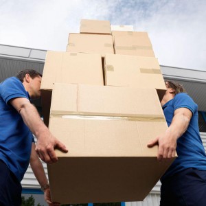 Грузчики разнорабочие Землекопы