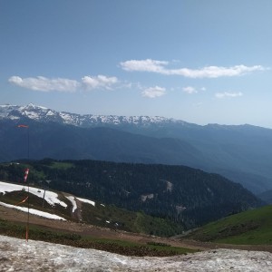 Рефрижератор, Перевозки