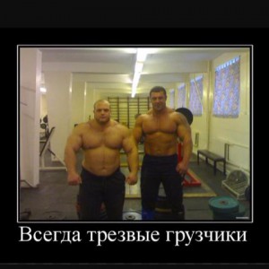 Грузоперевозки. Грузчики