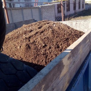 Пгс