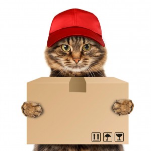 Переезды, грузчики