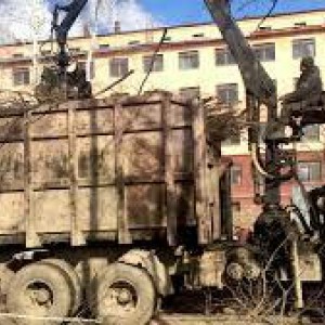 Вывоз мусора