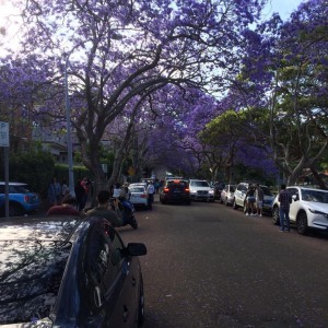 Курьер (на авто)