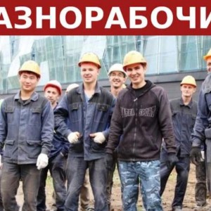 Грузчики. Грузоперевозки